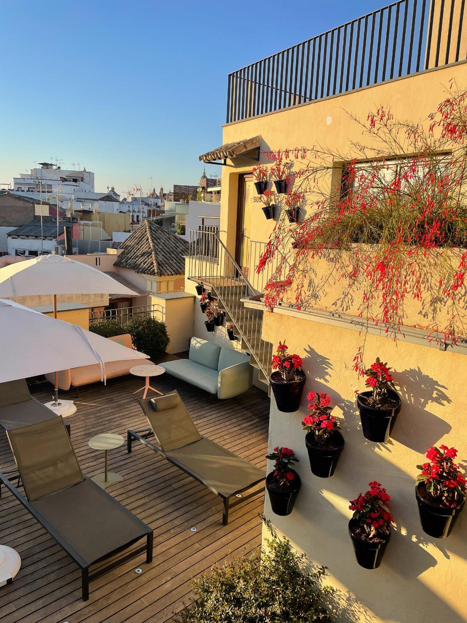סביליה Eme Catedral Mercer Hotel מראה חיצוני תמונה Rooftop terrace